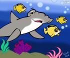 Güzel çizim bir çekiç köpekbalığı denizin dibinde. Julieta Vitali çizimi